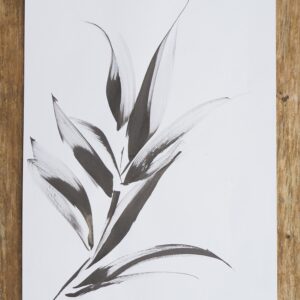 Backyard studies 14