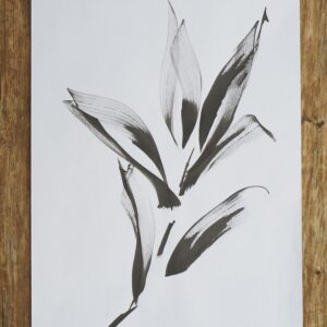 Backyard studies 15